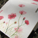 shop_kate_grachinsky_01